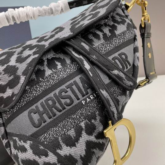 Dior saddle 8003 25.5x20x6.5cm ww (1)