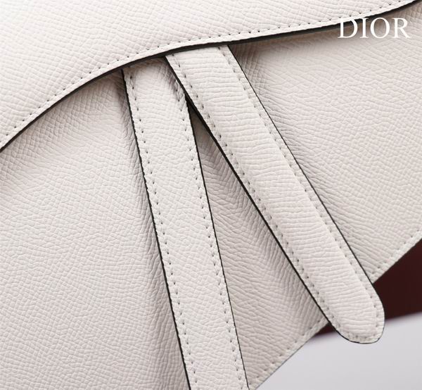 Dior M0446手掌纹 25.5x20x6.5cm CN7色 (1)