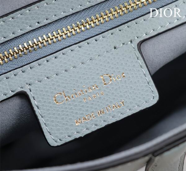 Dior M0446手掌纹 25.5x20x6.5cm CN7色 (1)