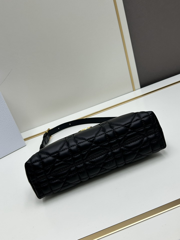 Dior 0318 23x13x6cm ss1_1