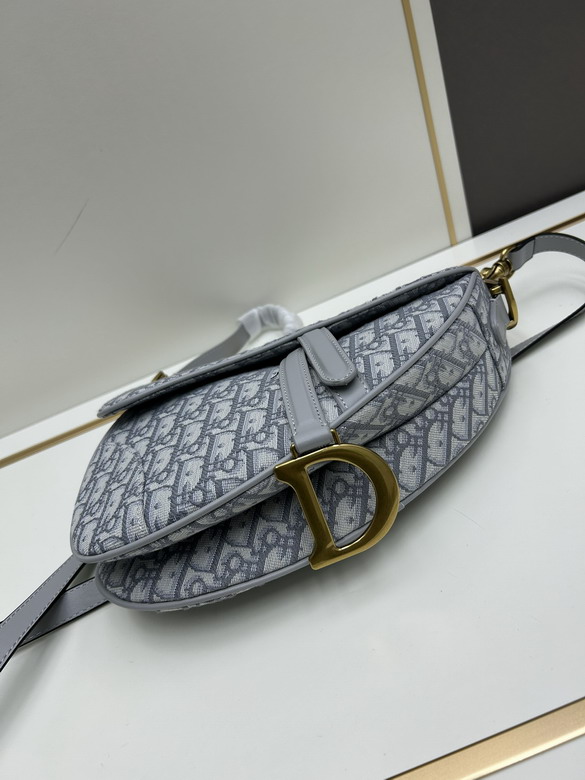 Dior saddle 886888 25 5x20x6 5cm jj_1
