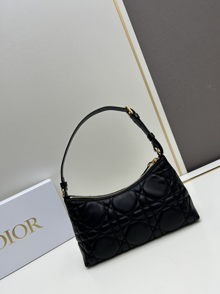 Dior 0318 23x13x6cm ss1_1