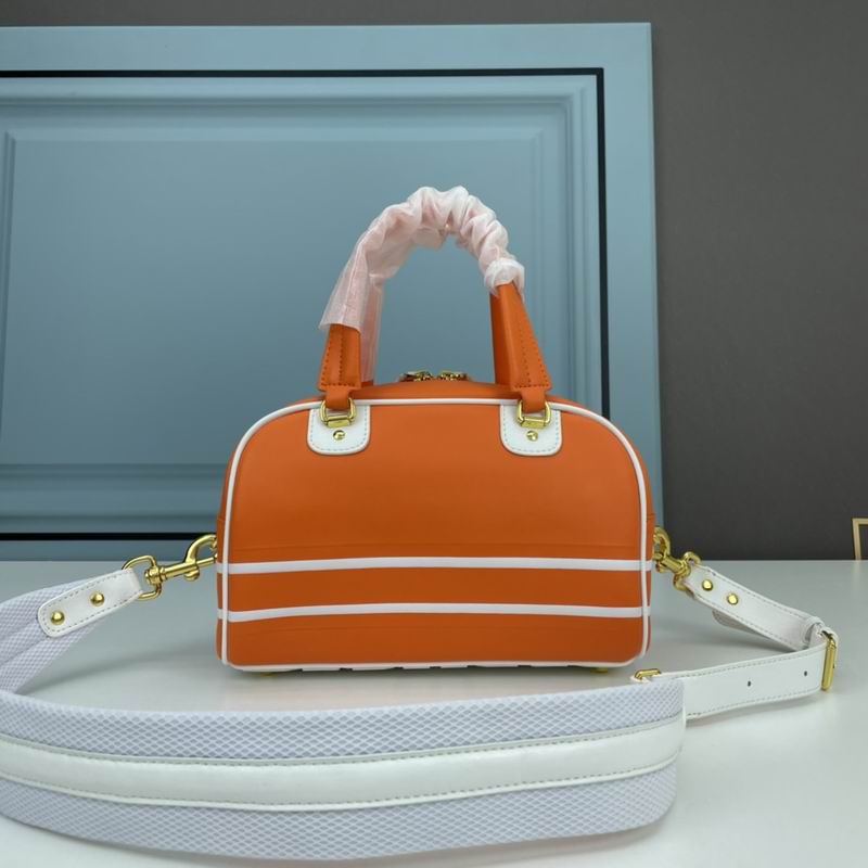 Dior 9109 25x13x16.5cm ww3色 (1)
