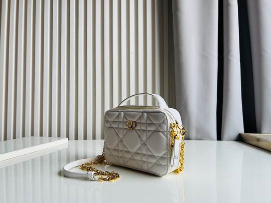 Dior Caro 17.5x5.5x13cm CN5色 (1)