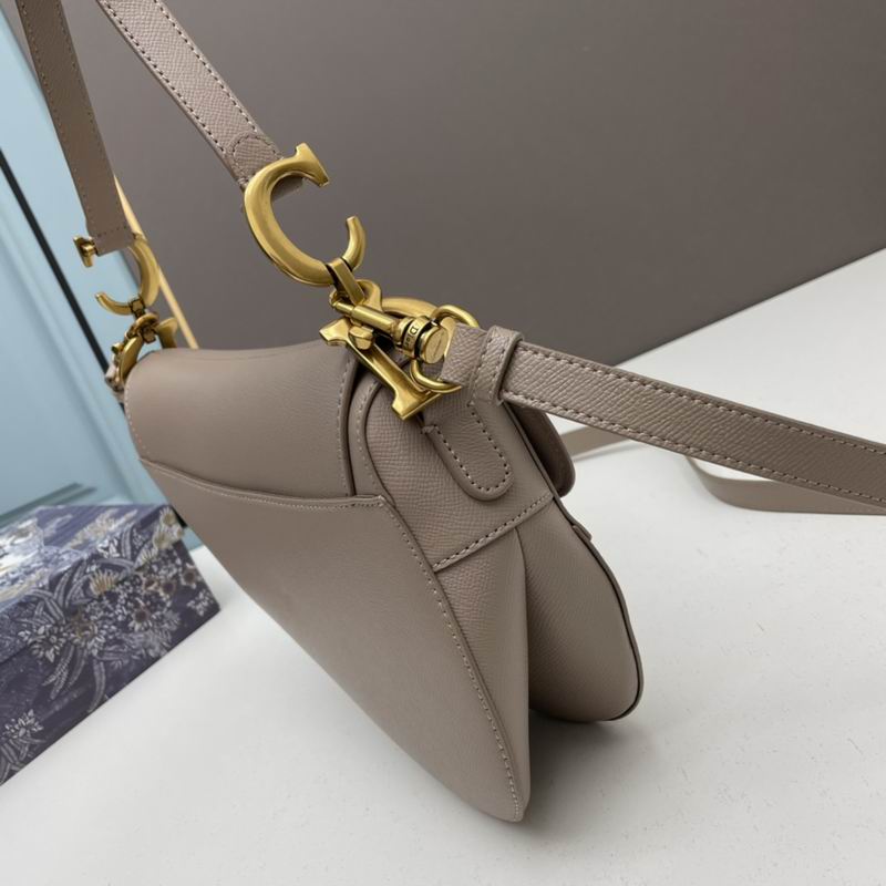 Dior saddle 0546 25.5x20x6.5cm ww5色 (1)