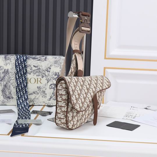 Dior saddle 9922 20x28.6x5cm ww (1)