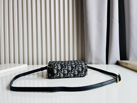Dior Caro 17.5x5.5x13cm CN5色 (1)