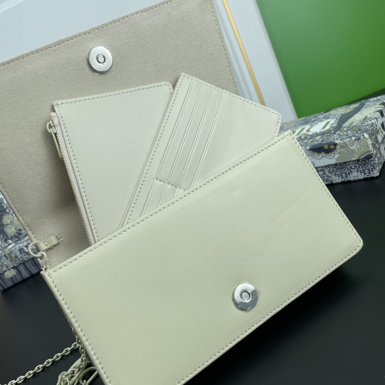 Diorcaropouch 1228 YW (1)