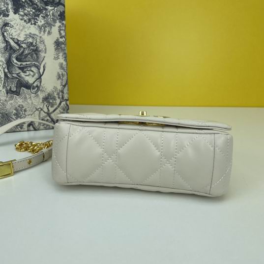 Dior Caro 2086 20x12x7cm ww4色 (1)