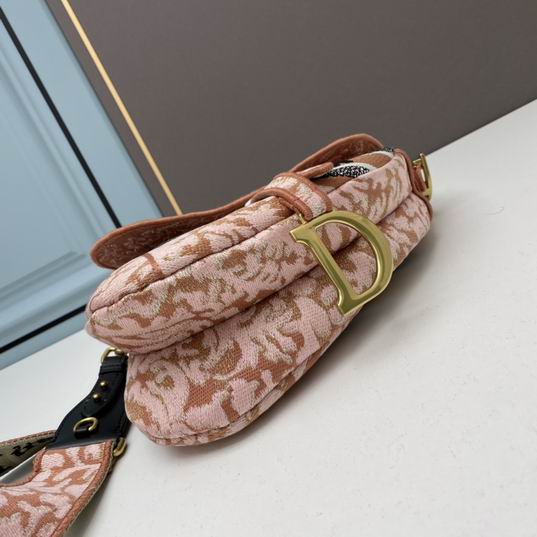 Dior saddle 25.5x20x6.5cm ww (1)
