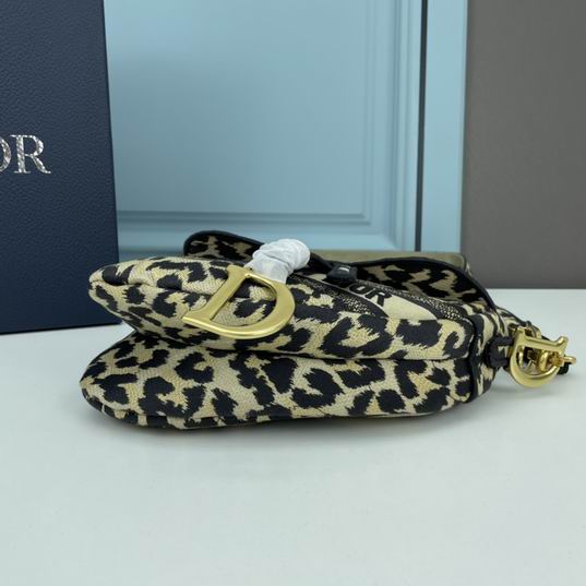 Dior saddle 8003 25.5x20x6.5cm ww (1)