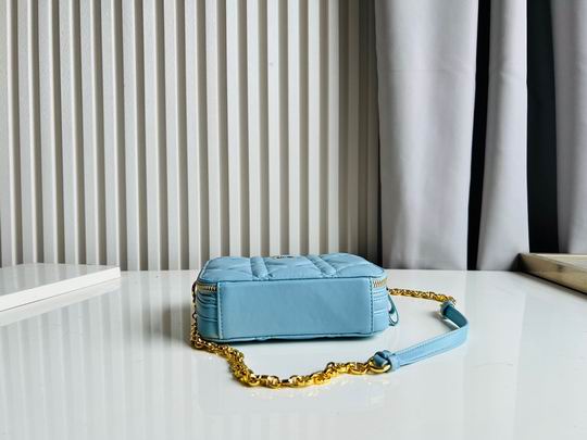 Dior Caro 17.5x5.5x13cm CN5色 (1)