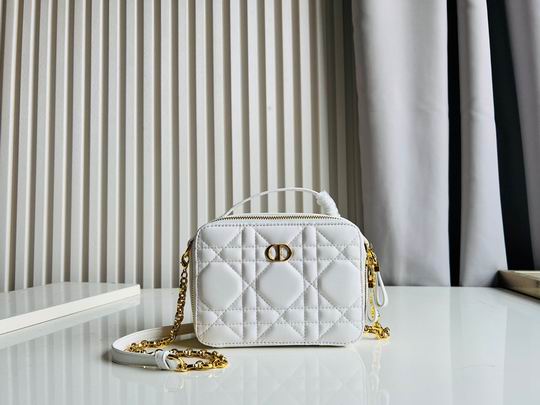 Dior Caro 17.5x5.5x13cm CN5色 (1)
