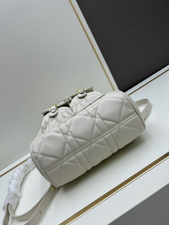 Dior 0319 23x26 7x12 5cm jj3_1