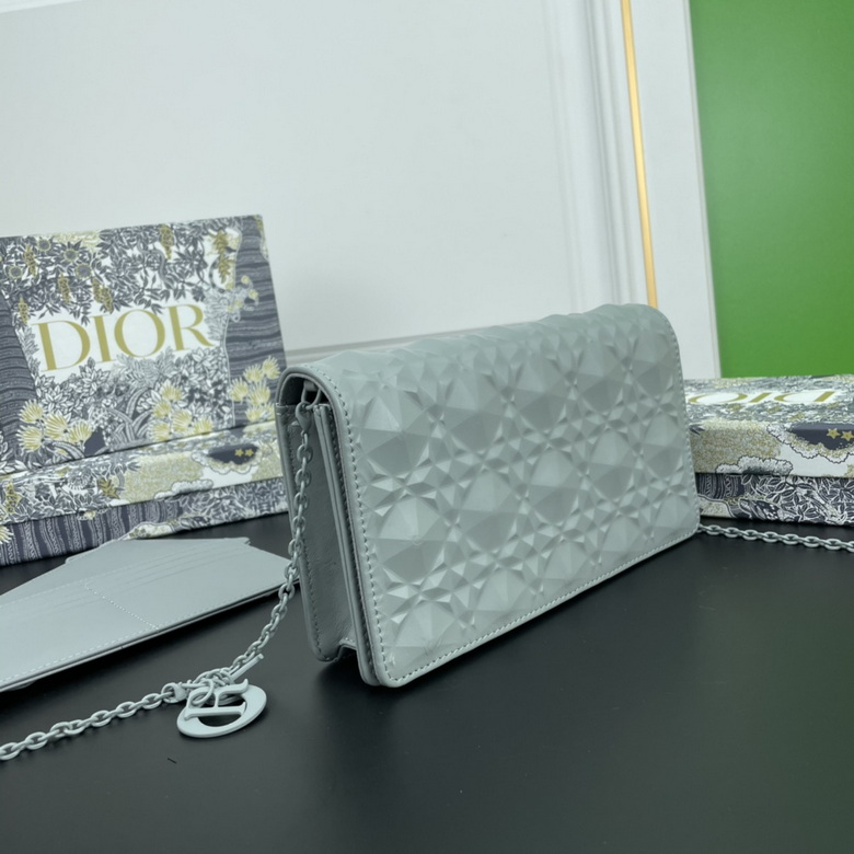 Diorcaropouch 1228 YW (1)
