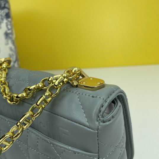 Dior Caro 2086 20x12x7cm ww4色 (1)