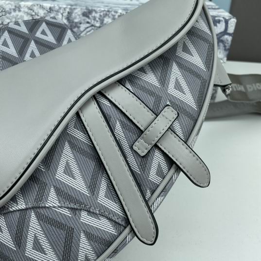 Dior saddle 7093 26x19x4.5cm ww2色 (1)