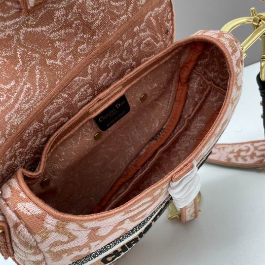 Dior saddle 25.5x20x6.5cm ww (1)