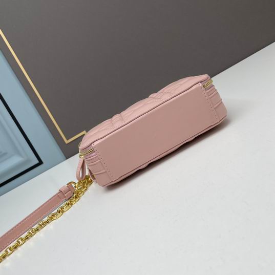 Dior Caro 17.5x5.5x13cm ww3色 (1)