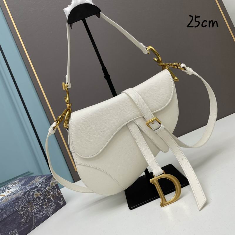 Dior saddle 0546 25.5x20x6.5cm ww5色 (1)