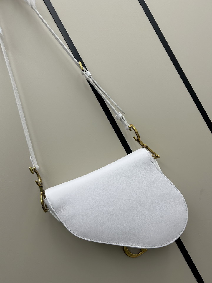 Dior saddle 0455 25 5x20x6 5cm jj1_1