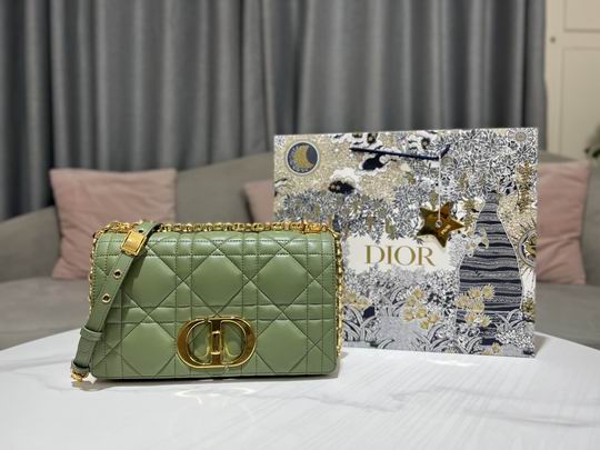 Dior Caro藤格纹 25.5x15.5x8cm CN (1)