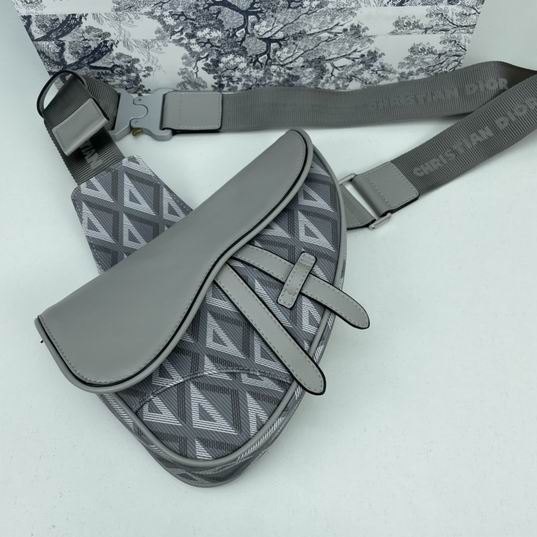 Dior saddle 7093 26x19x4.5cm ww2色 (1)