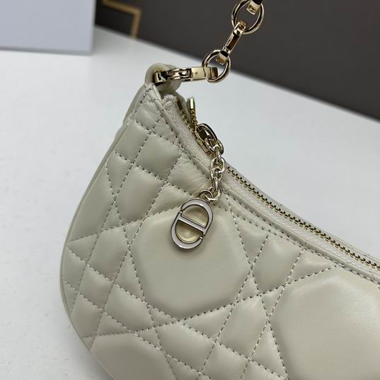 Dior 1542 26x15x5.5cm ww (1)