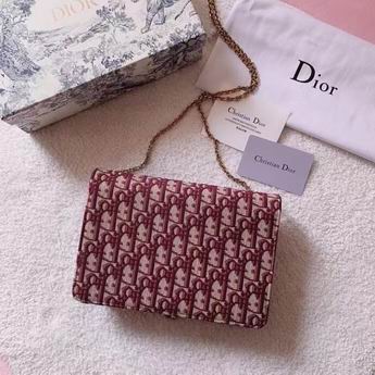 Dior Saddle M9013 22x14.5x3.5cm zy (1)