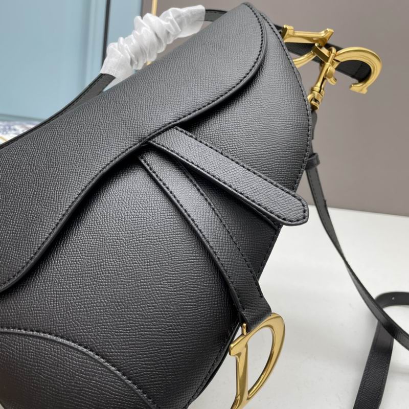 Dior saddle 0546 25.5x20x6.5cm ww5色 (1)