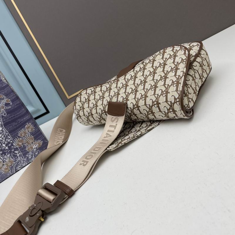 Dior saddle 20x28.6x5cm ww (1)