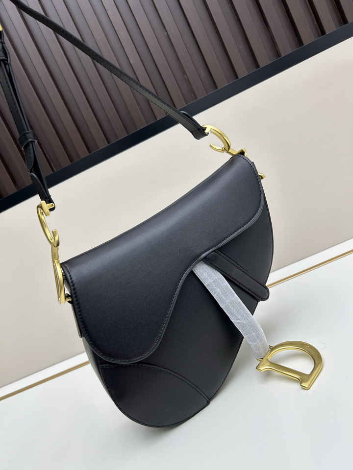 Dior Saddle 24x20x7cm jj1_1