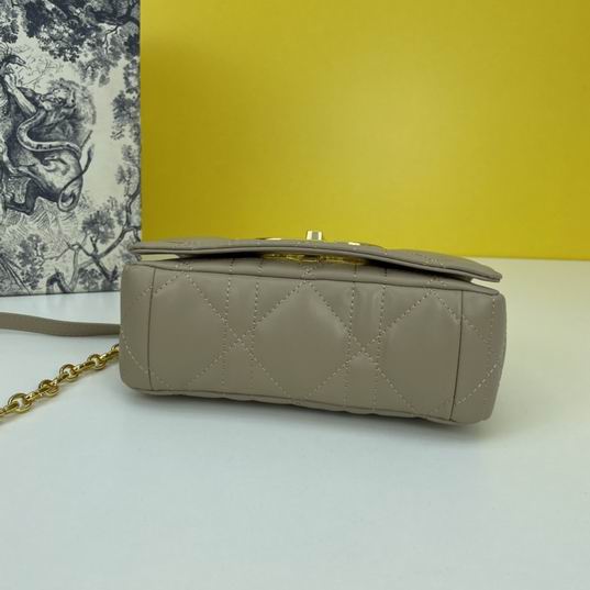 Dior Caro 2086 20x12x7cm ww4色 (1)
