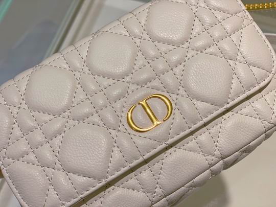 Dior Caro 17.5x10.5x5cm CN3色 (1)
