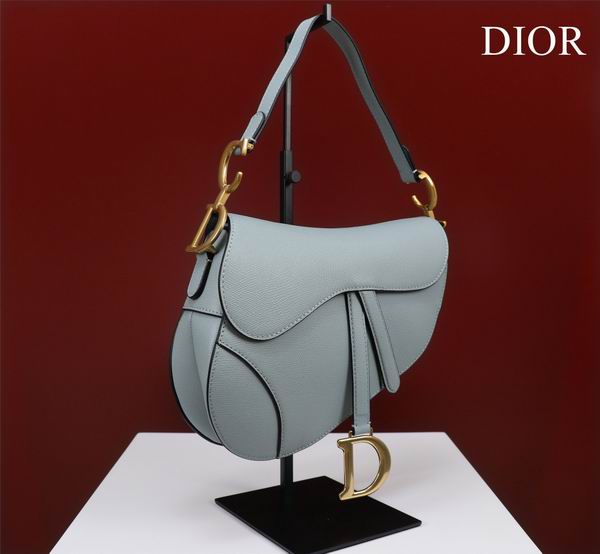 Dior M0446手掌纹 25.5x20x6.5cm CN7色 (1)