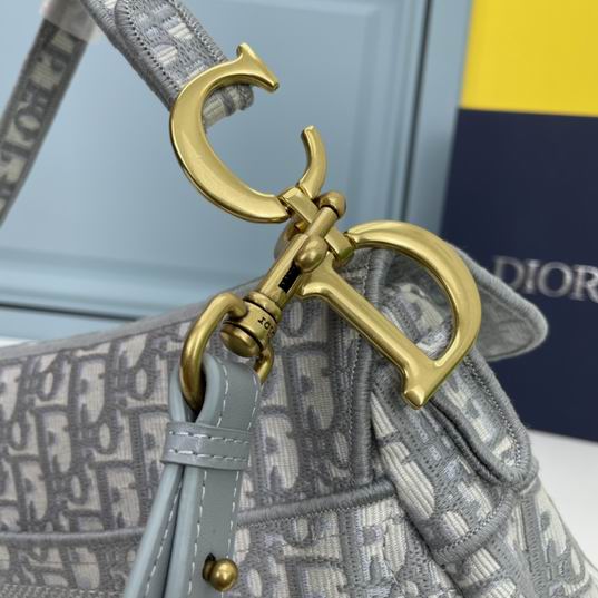 Dior saddle 8003 25.5x20x6.5cm ww (1)