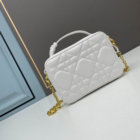 Dior Caro 17.5x5.5x13cm ww3色 (1)