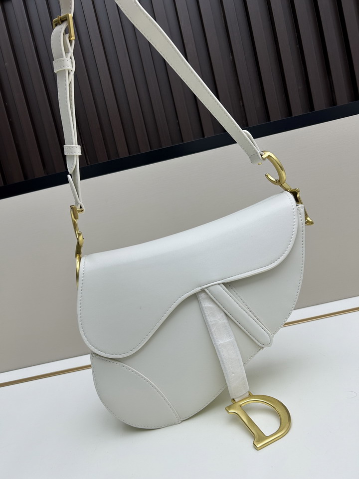 Dior Saddle 24x20x7cm jj_1