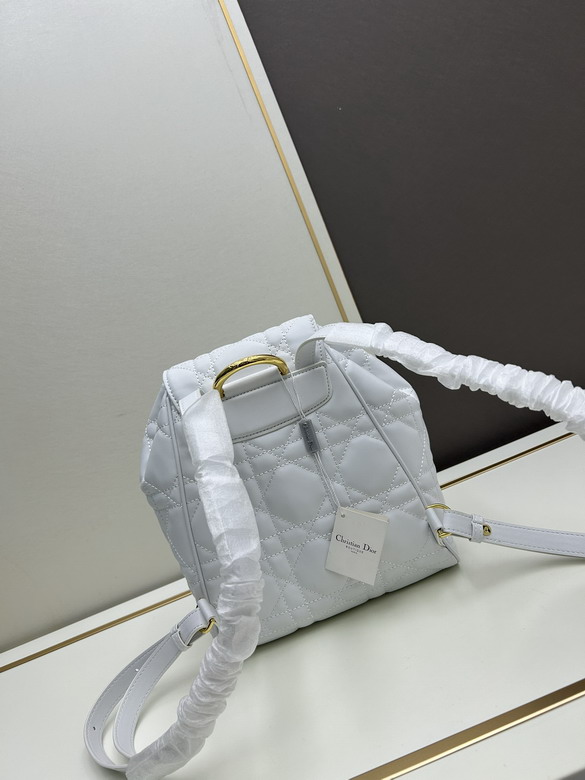 Dior 16944 23x17x11cm jj1_1