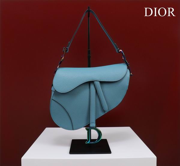Dior M0446手掌纹 25.5x20x6.5cm CN7色 (1)