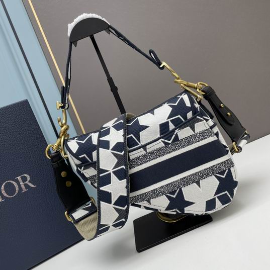Dior saddle 8003 25.5x20x6.5cm ww1 (1)
