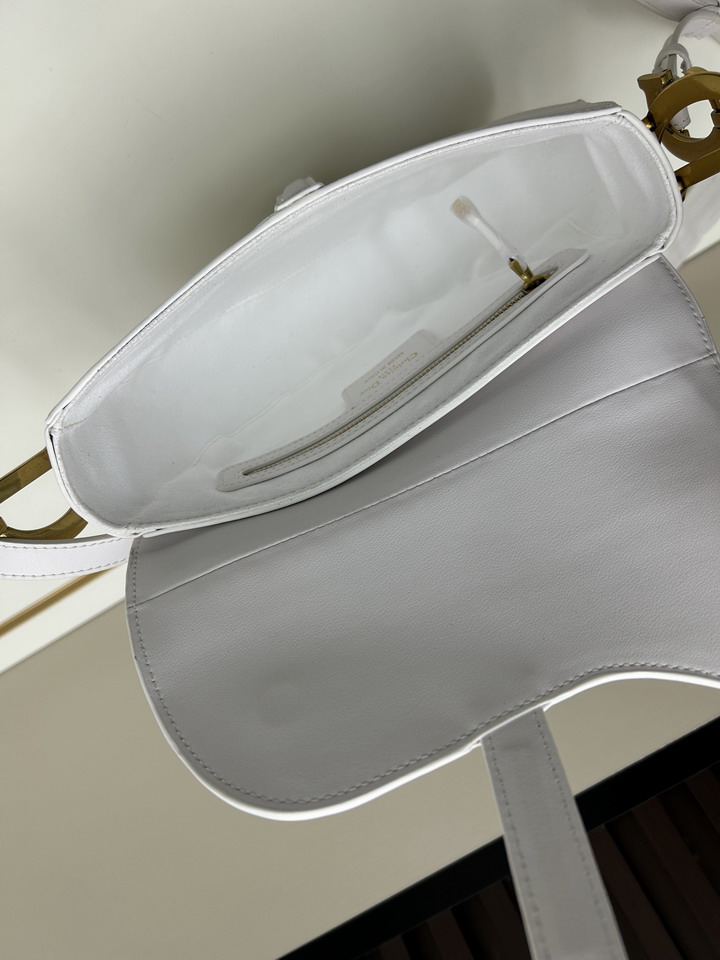 Dior saddle 0455 25 5x20x6 5cm jj1_1