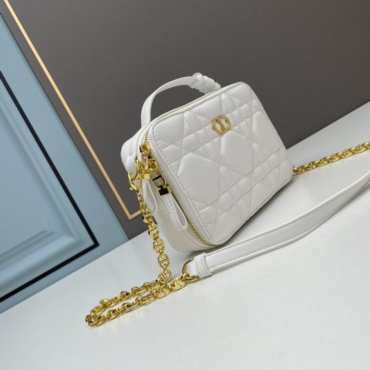 Dior Caro 17.5x5.5x13cm ww3色 (1)