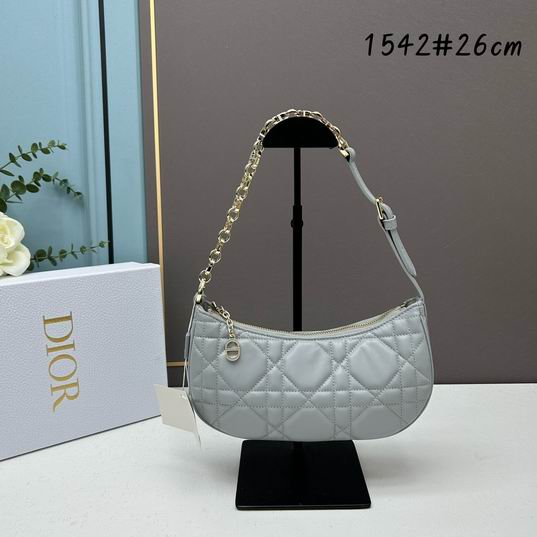 Dior 1542 26x15x5.5cm ww (1)