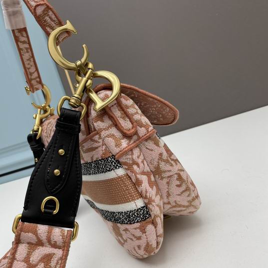 Dior saddle 25.5x20x6.5cm ww (1)