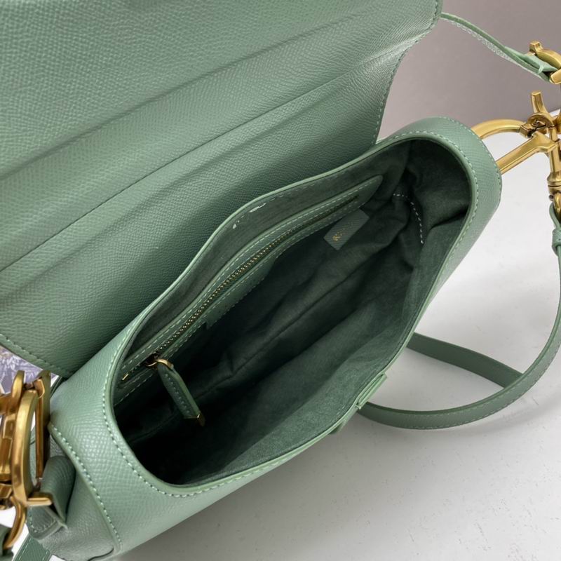 Dior saddle 0546 25.5x20x6.5cm ww5色 (1)