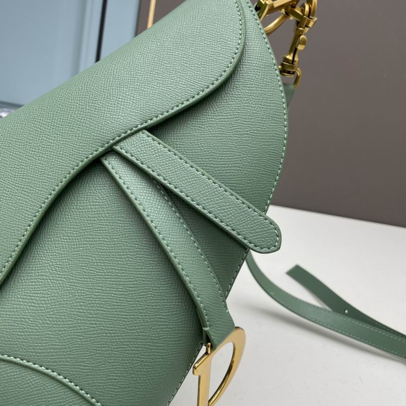 Dior saddle 0546 25.5x20x6.5cm ww5色 (1)