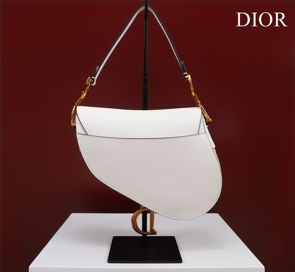 Dior M0446手掌纹 25.5x20x6.5cm CN7色 (1)