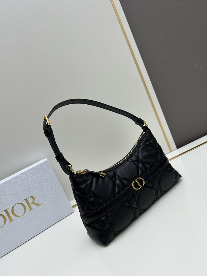 Dior 0318 23x13x6cm ss1_1