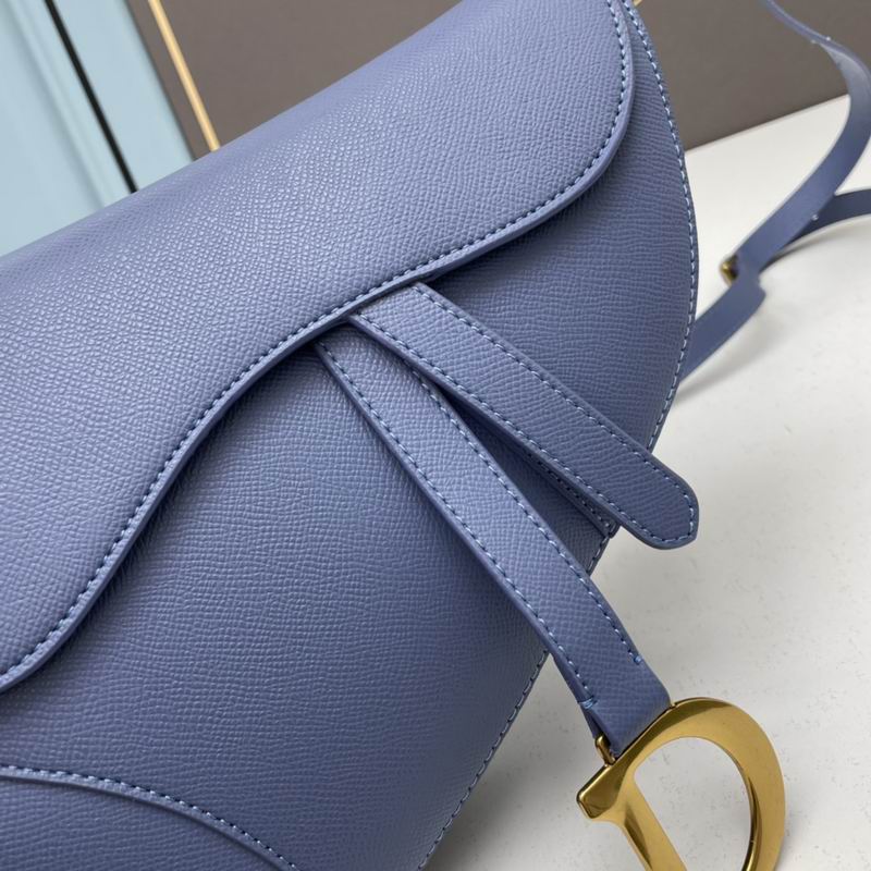 Dior saddle 0546 25.5x20x6.5cm ww5色 (1)